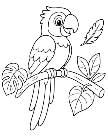 Parrot on a Branch